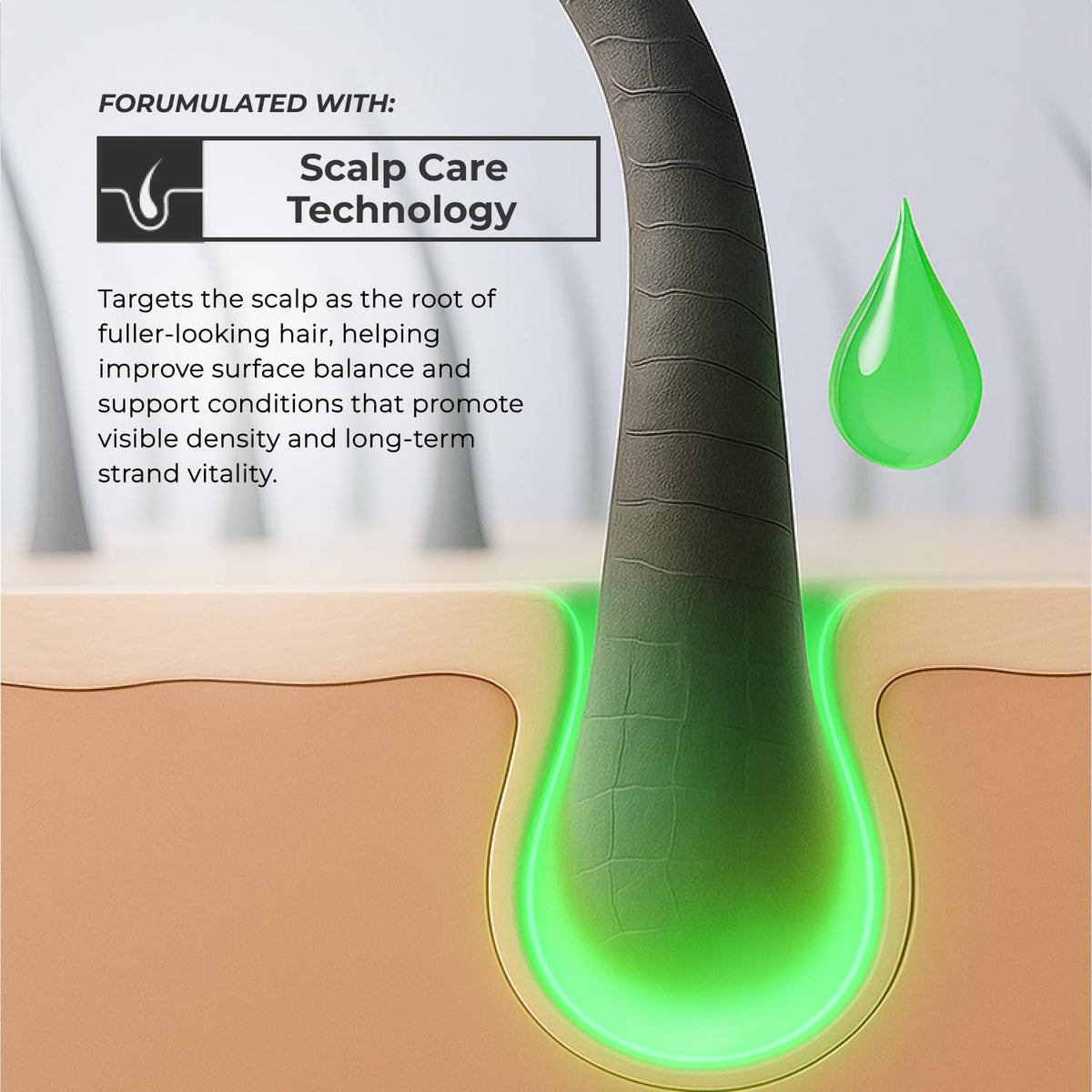 XMONDO saw palmetto extract visual highlighting scalp support