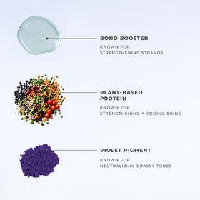 XMONDO close-up of jojoba oil and botanical elements, emphasizes restorative moisture