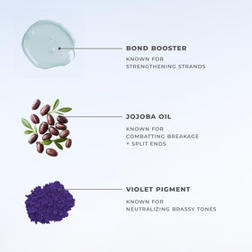 XMONDO jojoba oil detail with applicator, benefit: moisturizing and smoothing action