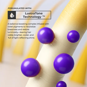 XMONDO 8 fl oz bottle next to a hand showing true size and travel-friendly benefit