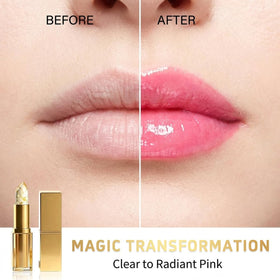 XQMVCO Areliaa ingredient display with avocado butter and jojoba oil, nourishing benefit