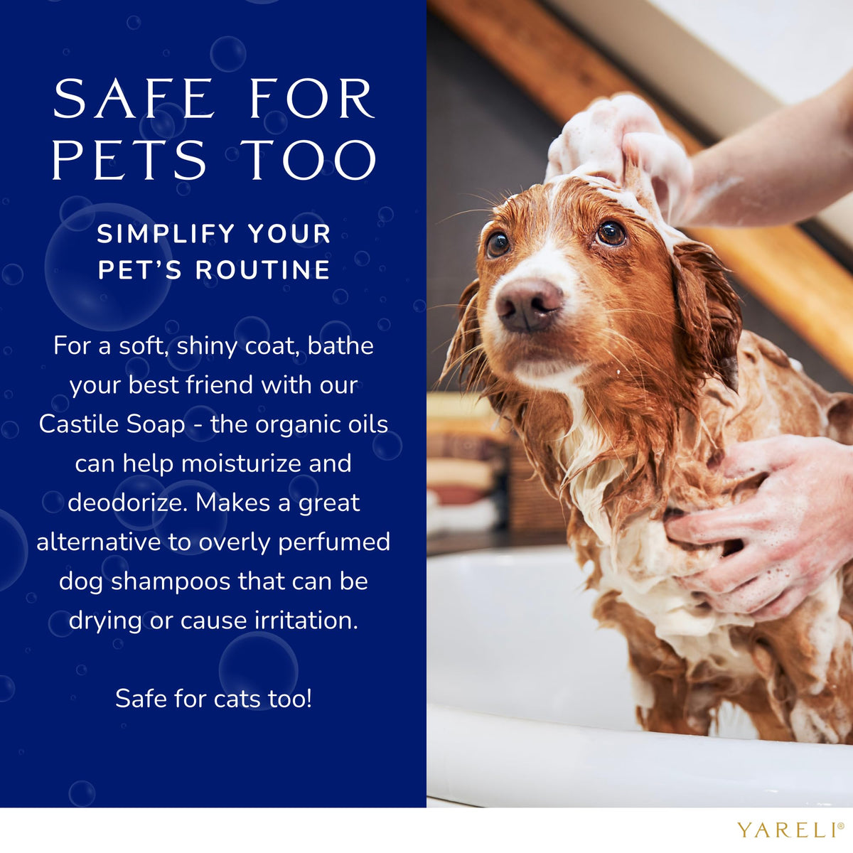YARELI gentle pet shampoo being rinsed on a dog for soft coat