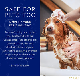 YARELI gentle pet shampoo being rinsed on a dog for soft coat