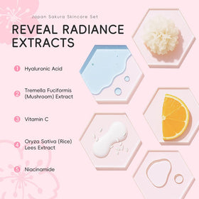 Yasovigi contents laid out showing six product types for full routine