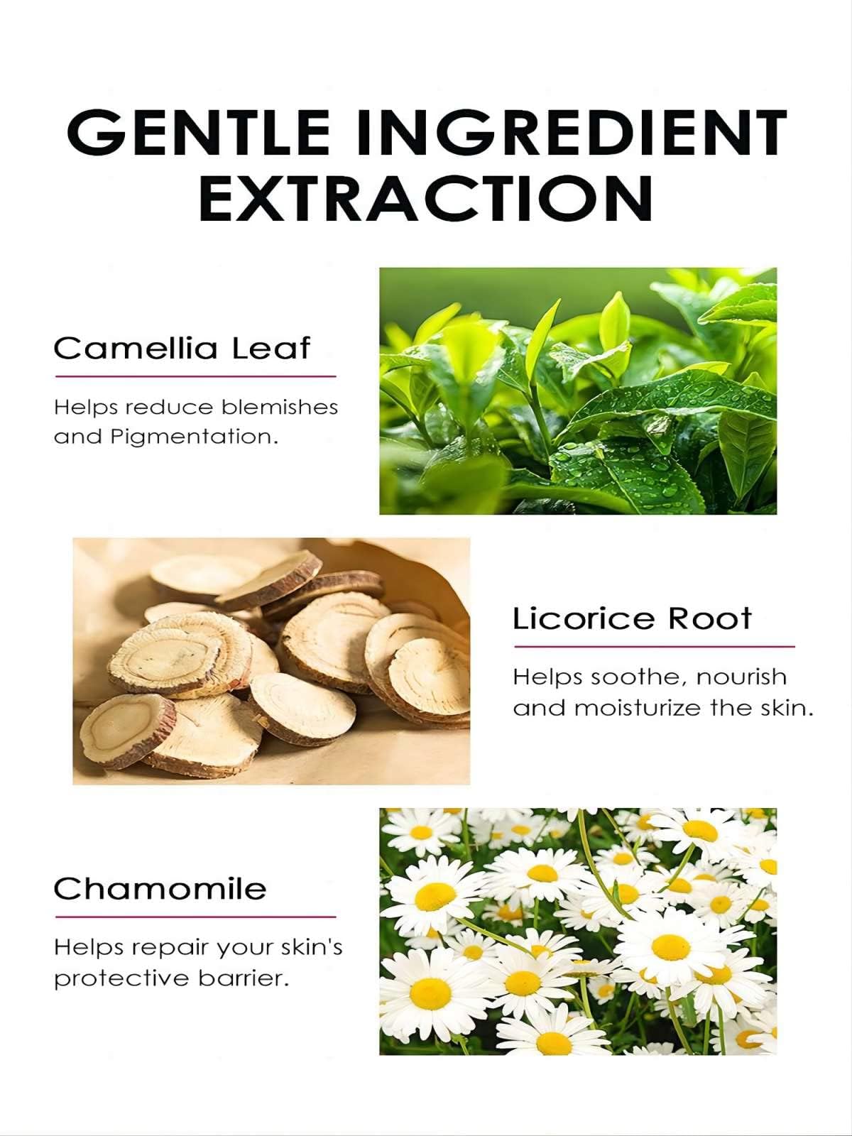 Generic flatlay of hyaluronic acid, licorice root and chamomile ingredients