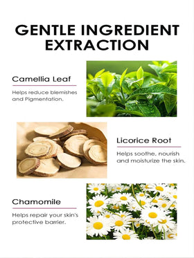 Generic flatlay of hyaluronic acid, licorice root and chamomile ingredients