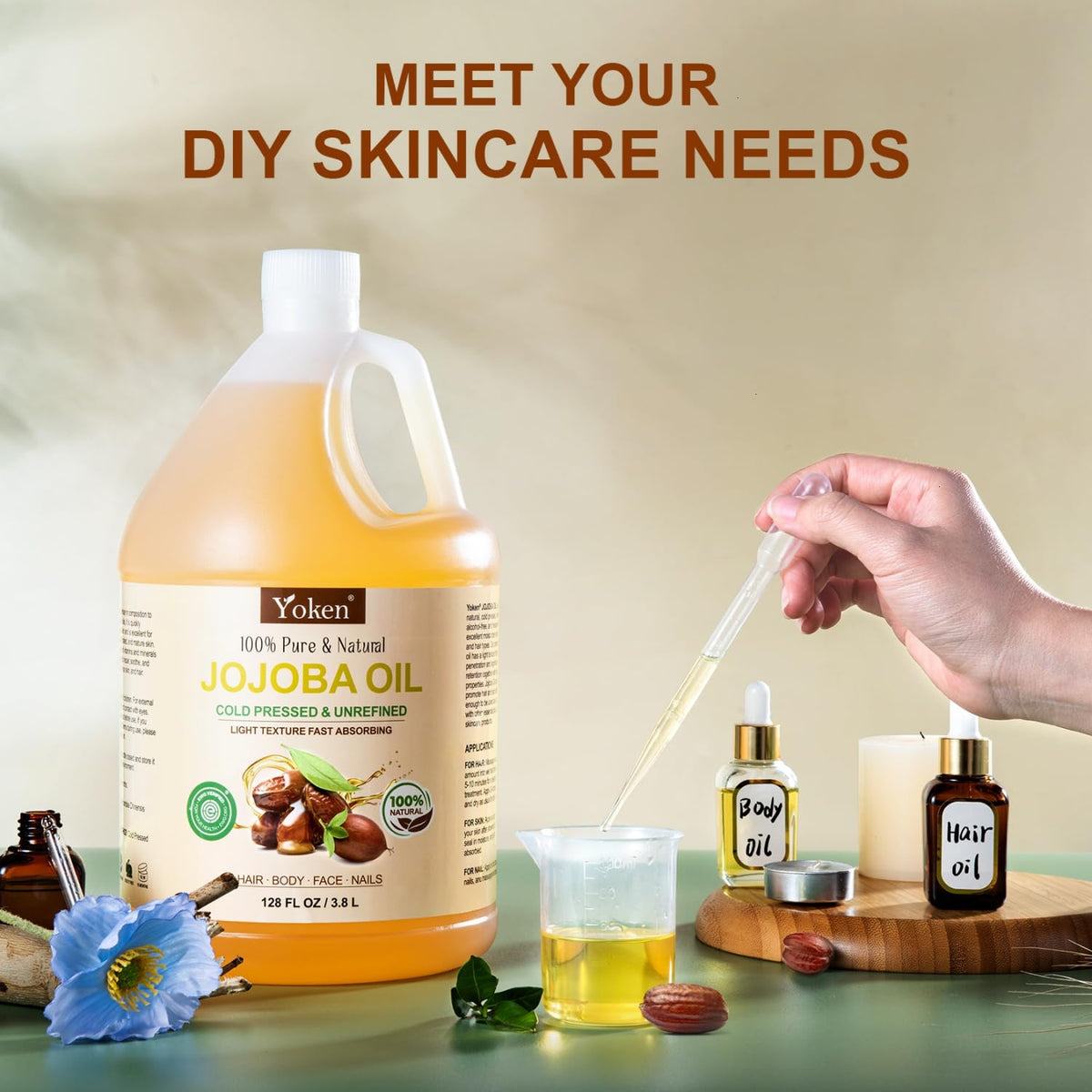Yoken jojoba seeds field image illustrating natural cold-pressed source