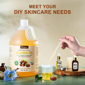 Yoken jojoba seeds field image illustrating natural cold-pressed source