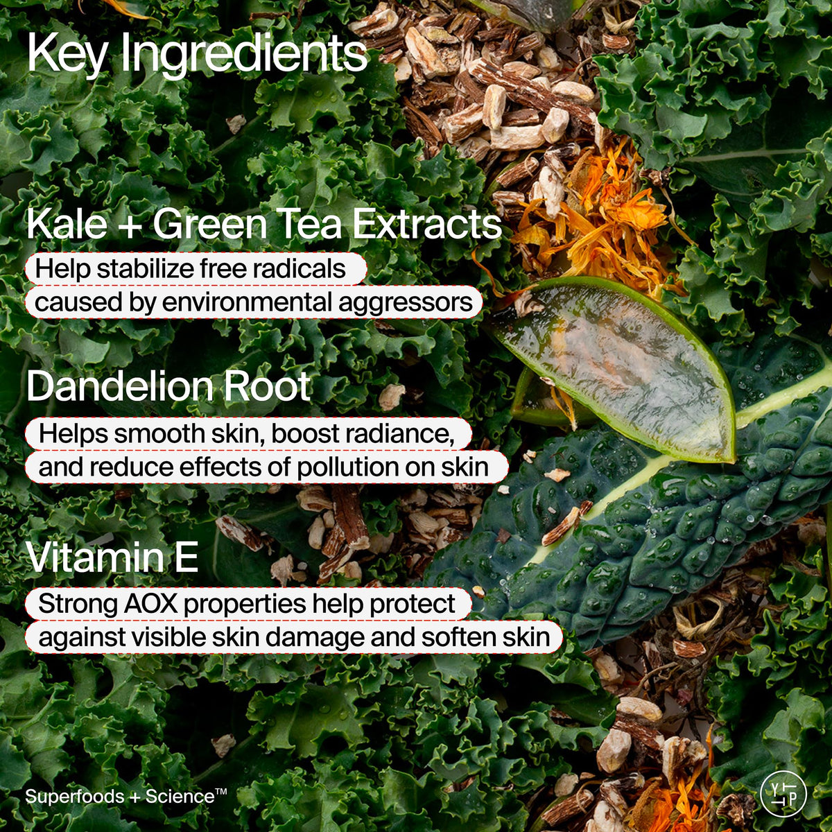 Youth To The People close-up label showing ingredient claims and benefits