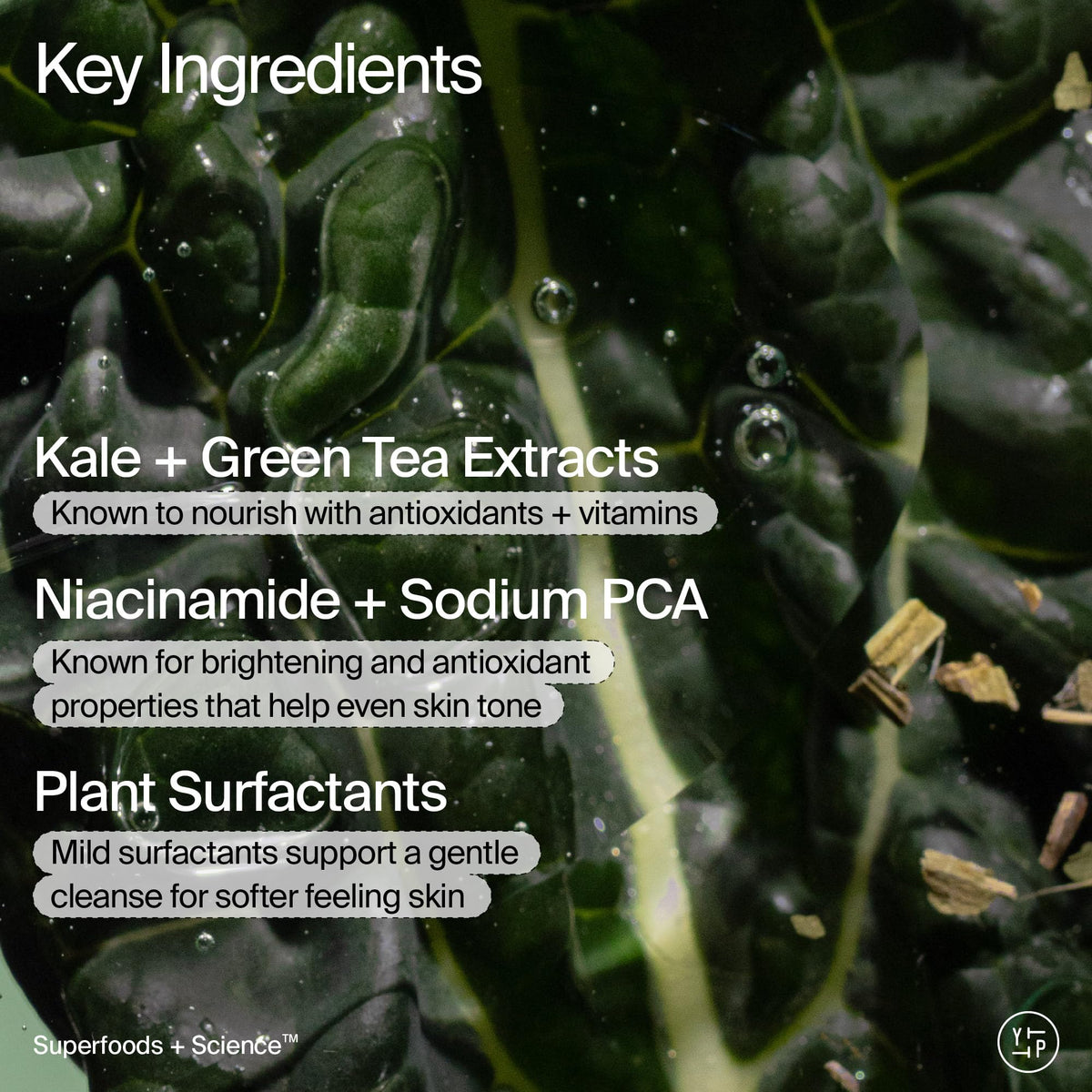 Youth To The People kale and green tea extracts on display, emphasizes antioxidant benefit
