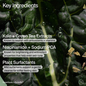 Youth To The People kale and green tea extracts on display, emphasizes antioxidant benefit