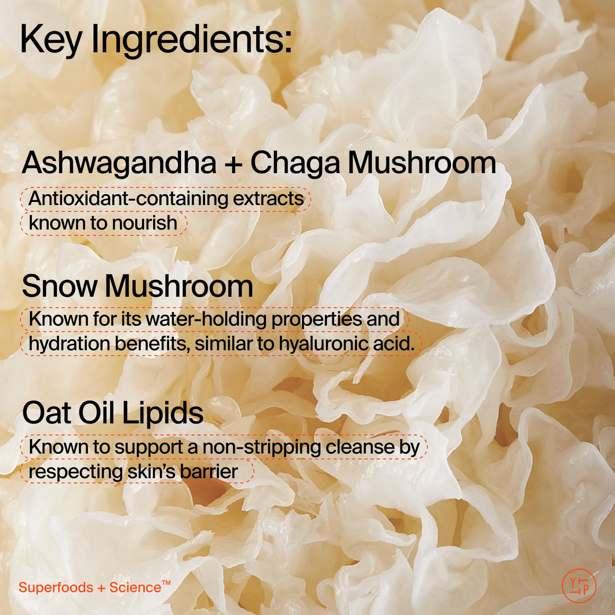Youth To The People ingredient display showcasing natural adaptogens