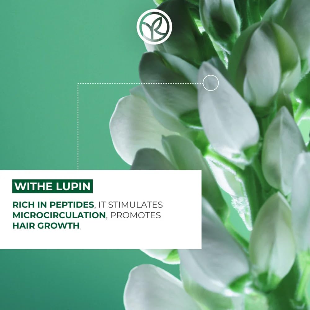 Close-up of agave and white lupin plants highlighting botanical strength