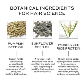 Zenagen botanical ingredients display emphasizing plant-based strength