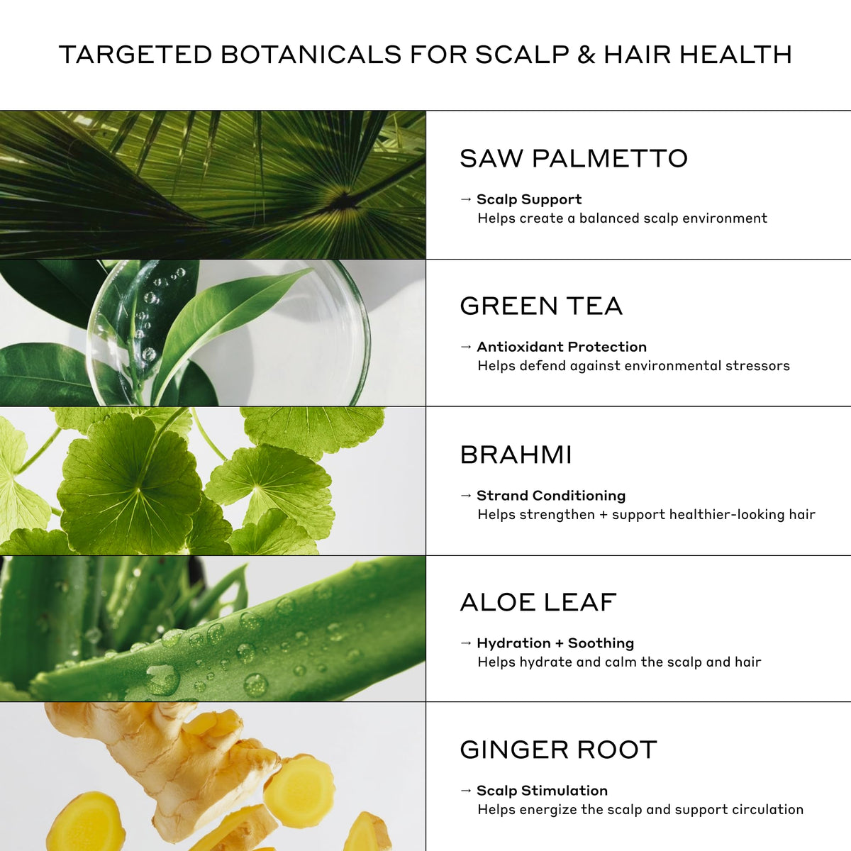 Zenagen Revolve shampoo lather in sink clearing residue for root lift