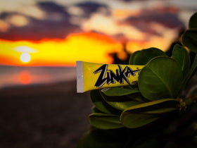 Zinka family at beach applying colored nosecoat for group sun protection