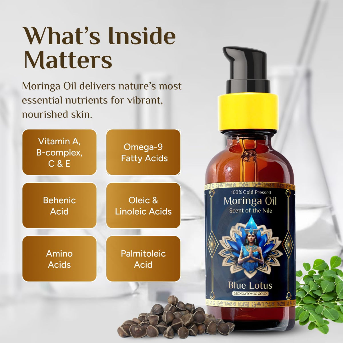ZP.TECH flatlay of moringa seeds and blue lotus illustrating ingredients