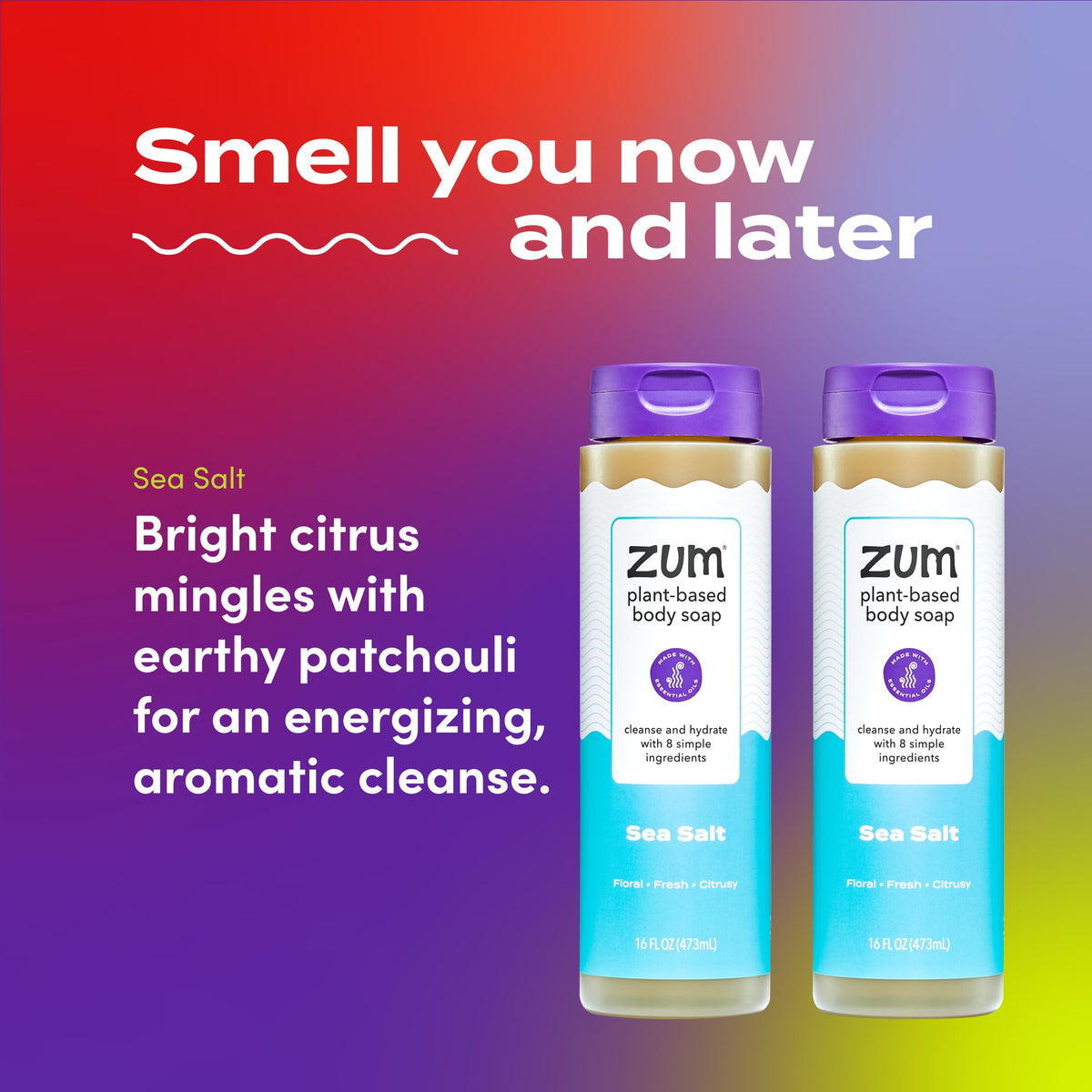 Zum ingredient list close-up highlighting plant-based oils and transparency benefit